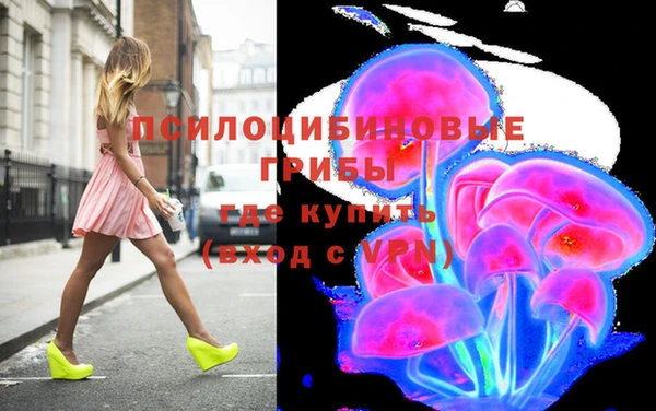 соль ск Армянск