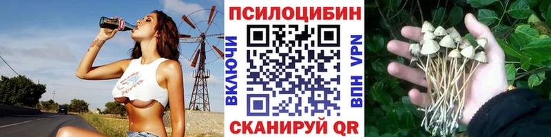 Галлюциногенные грибы Cubensis  Купить закладки  Баймак 